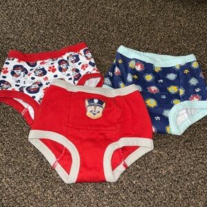 Paw Patrol Training undies
